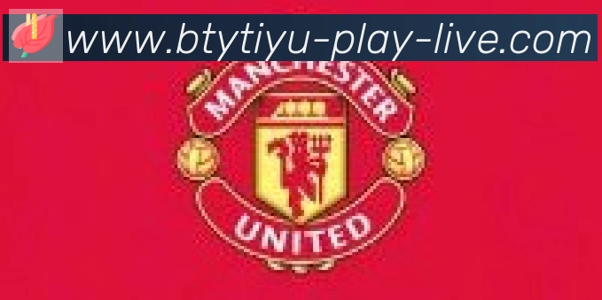 B体育官网合作伙伴